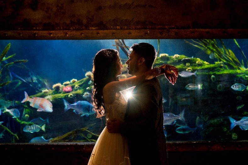 Creative portrait of Hindu couple in Durban aquarium.