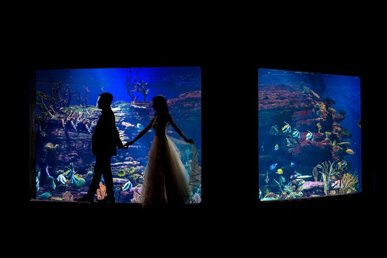 Creative wedding portrait of couple in aquarium.