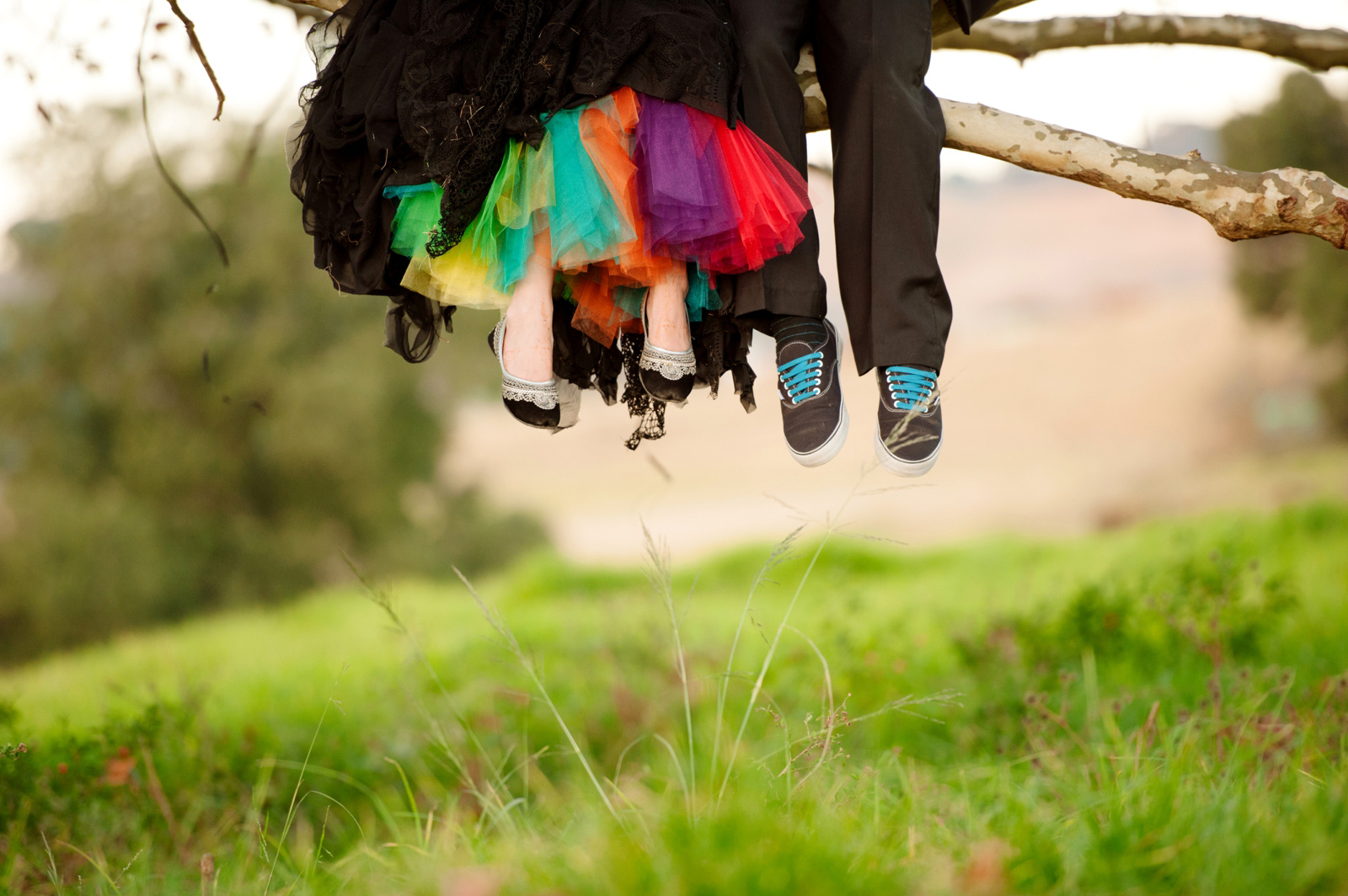 bride and groom in a tree
