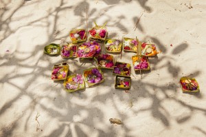 Balinese offerings with frangipani shadow