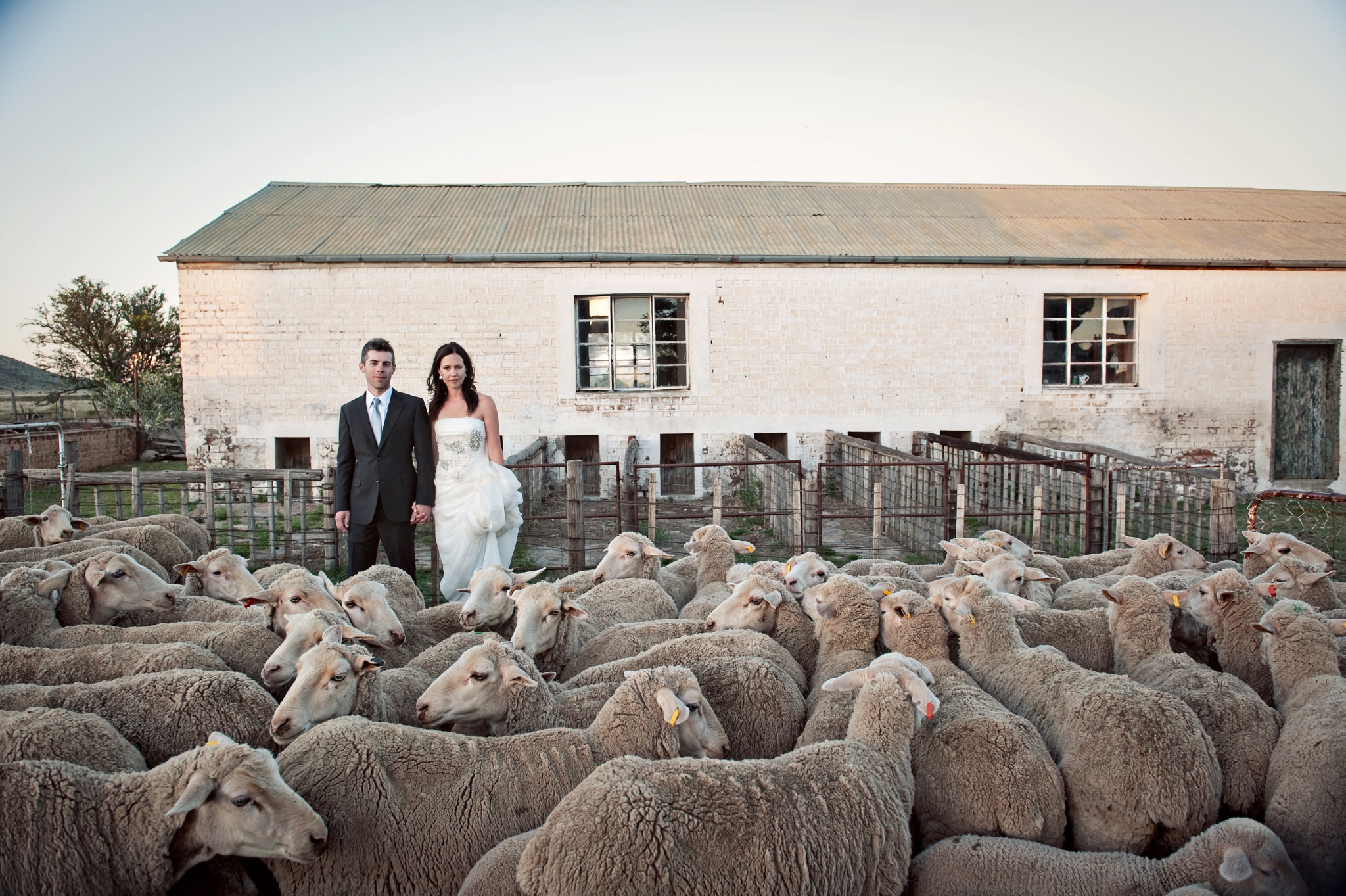 Testimonials-Top-South-African-Wedding-Photographer-Jacki-Bruniquel-020-001 Testimonials-Top-South-African-Wedding-Photographer-Jacki-Bruniquel-020-001