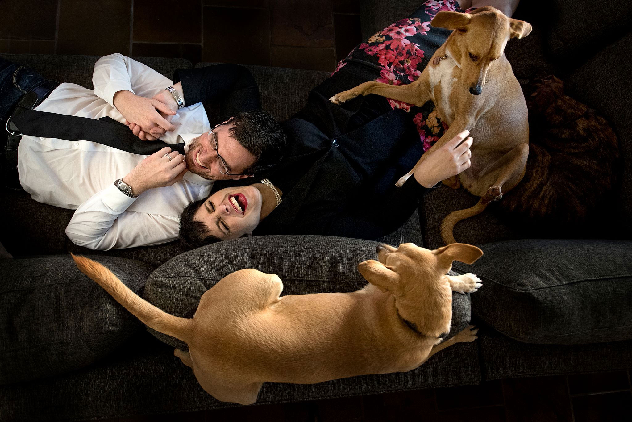 Portraits-Jacki-Bruniquel-Top-South-African-Photographer-010 Rescue dogs and their owners